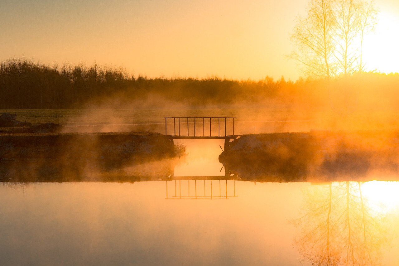 east  pond  the fog free photo