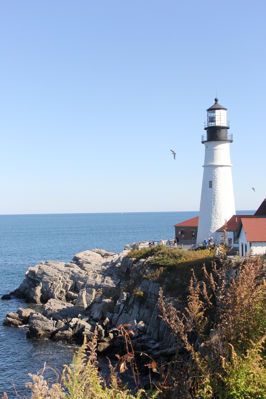 east coast lighthouse coast free photo