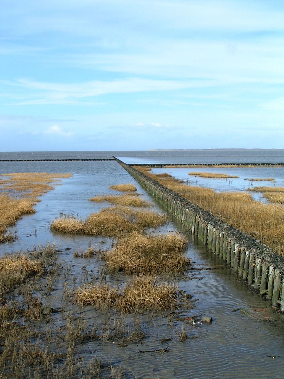 east frisia coast north sea free photo