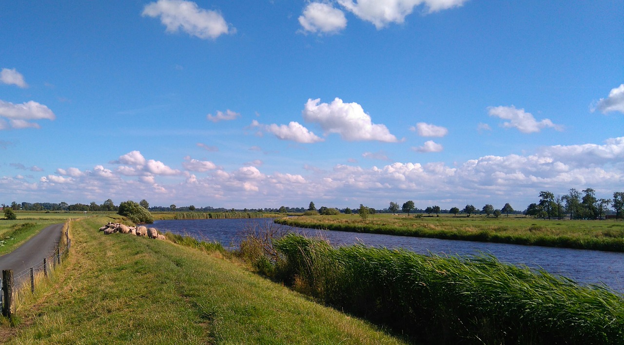 east frisia wide dike free photo