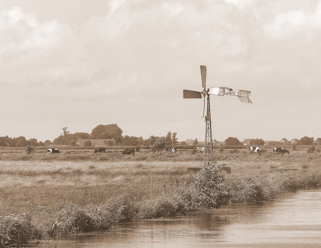 east frisia pinwheel windmill free photo