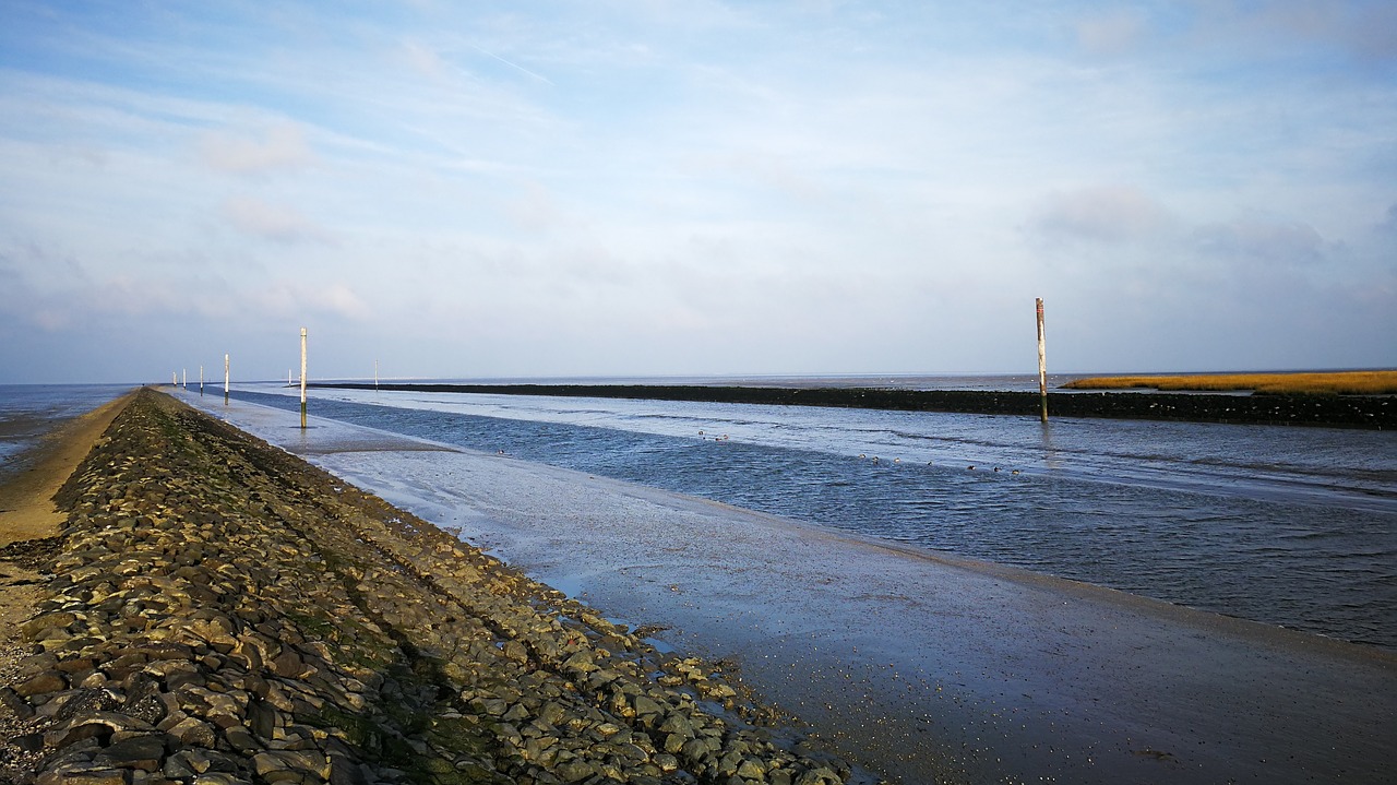 east frisia  harlesiel  port of exit free photo