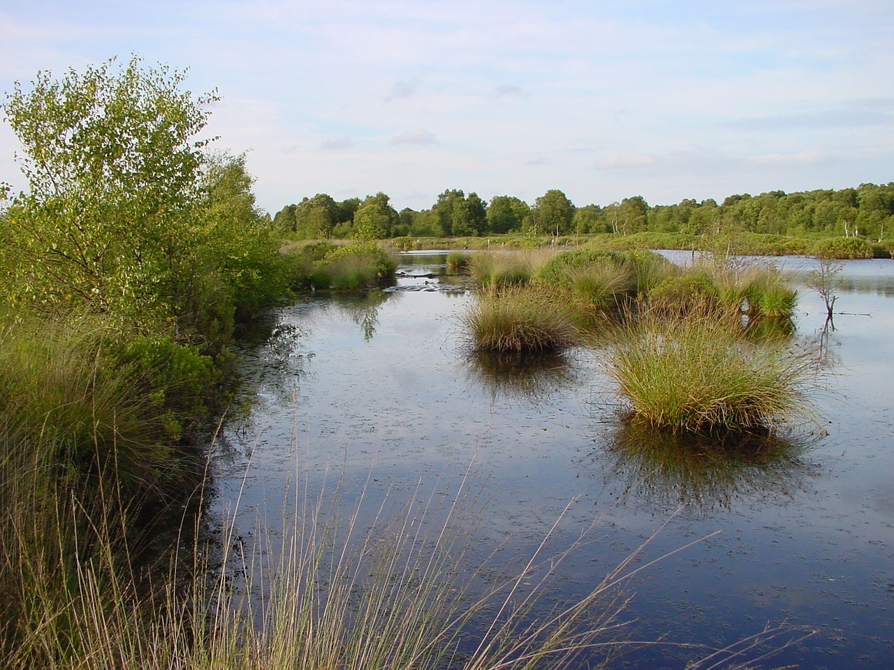 east frisia moor lake free photo