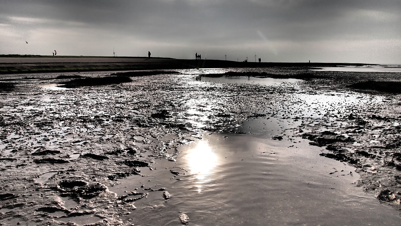 east frisia nature north sea free photo