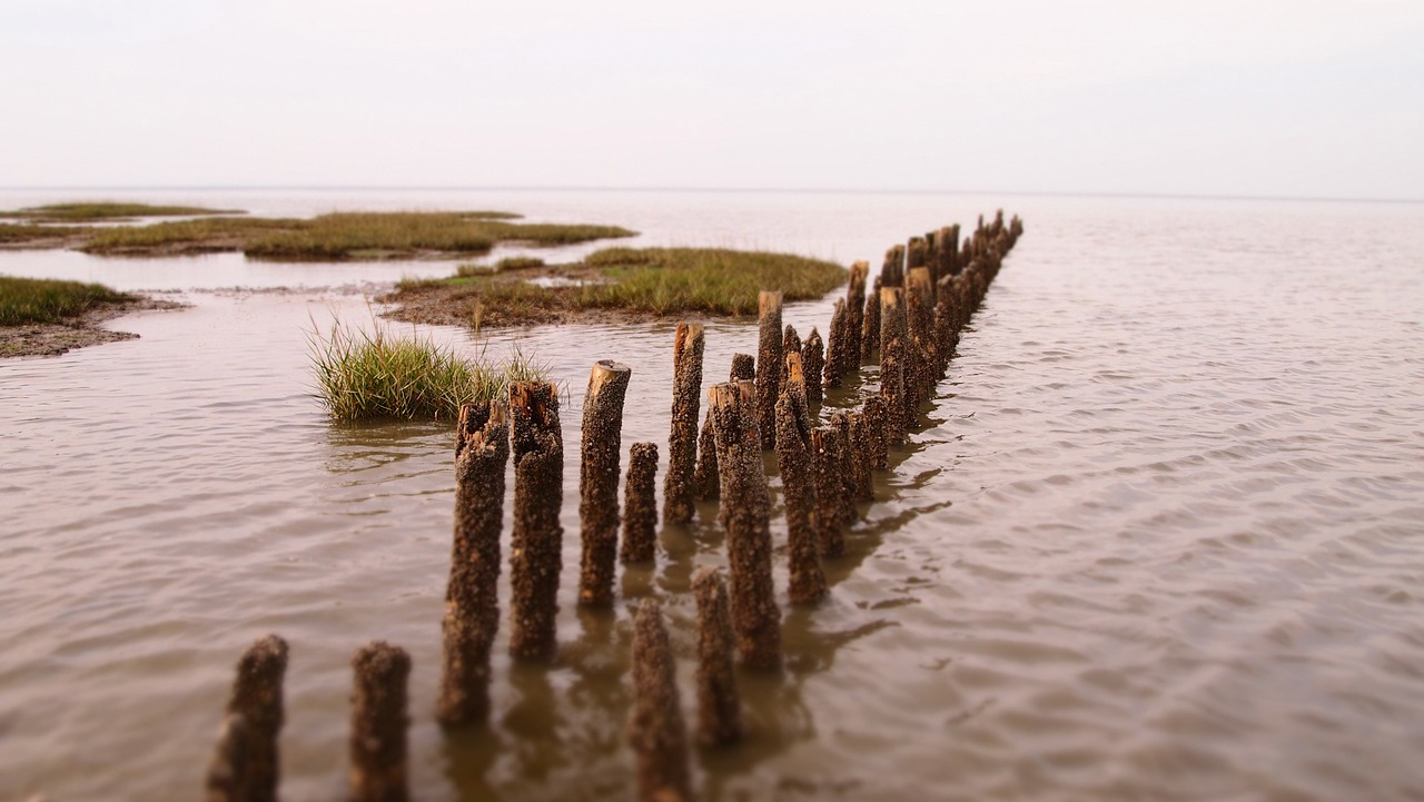 east frisia nature north sea free photo