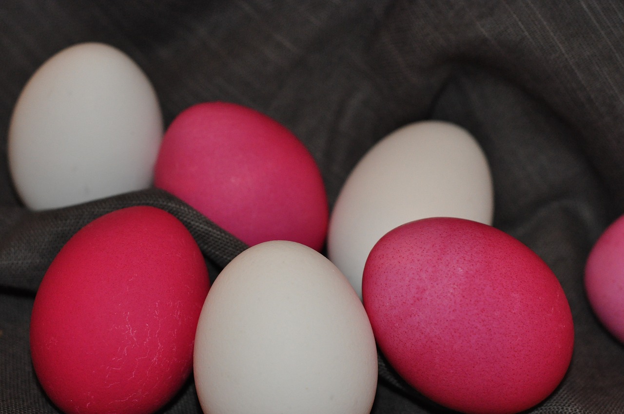 easter eggs paint free photo