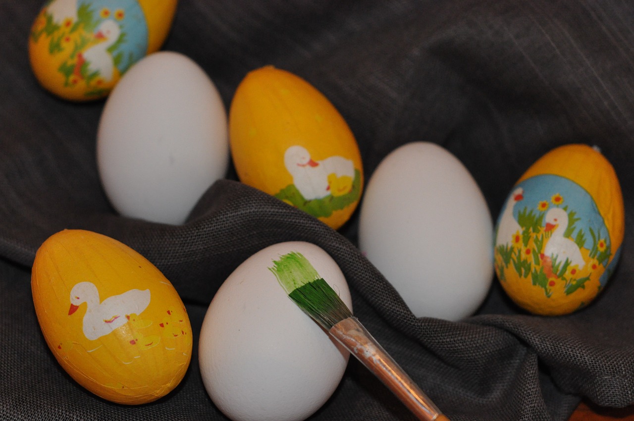 easter eggs chicken free photo