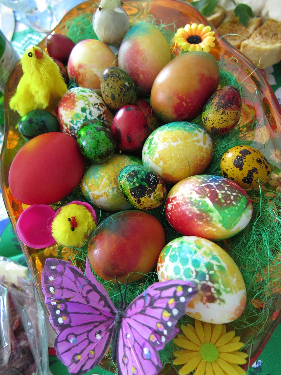 easter eggs chick free photo