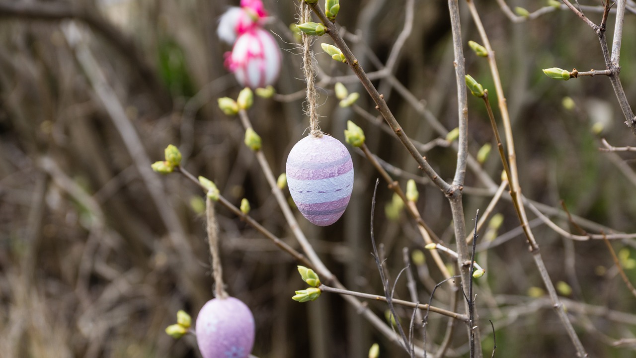 easter decoration egg free photo