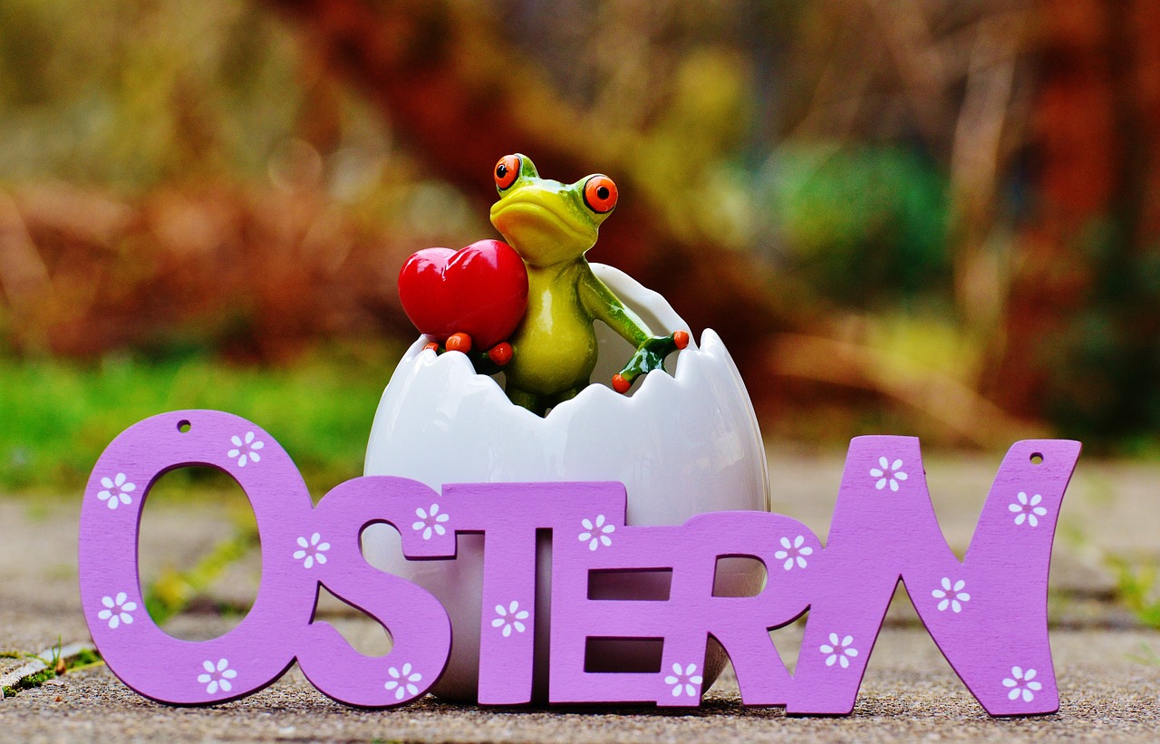 easter eggshell frog free photo