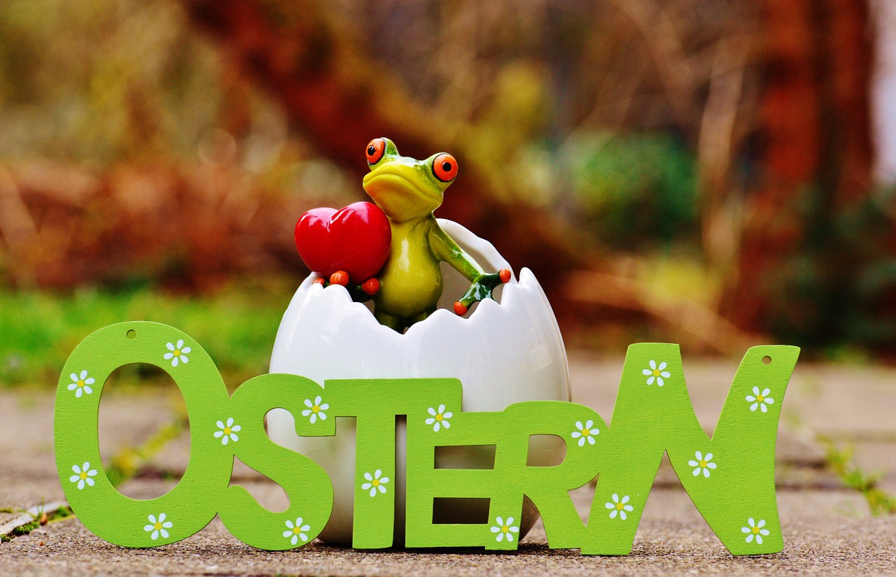 easter eggshell frog free photo