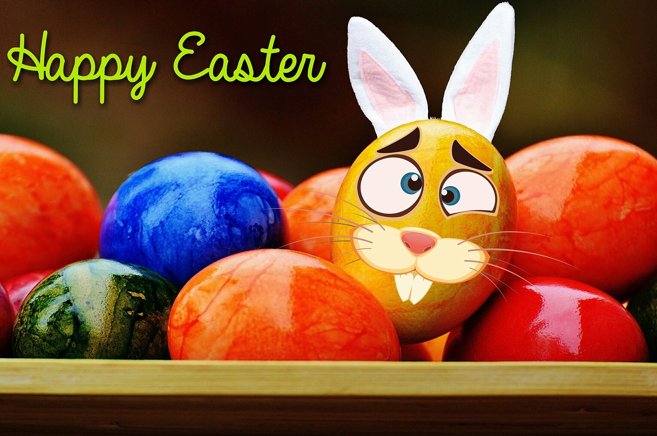 easter easter eggs colorful free photo