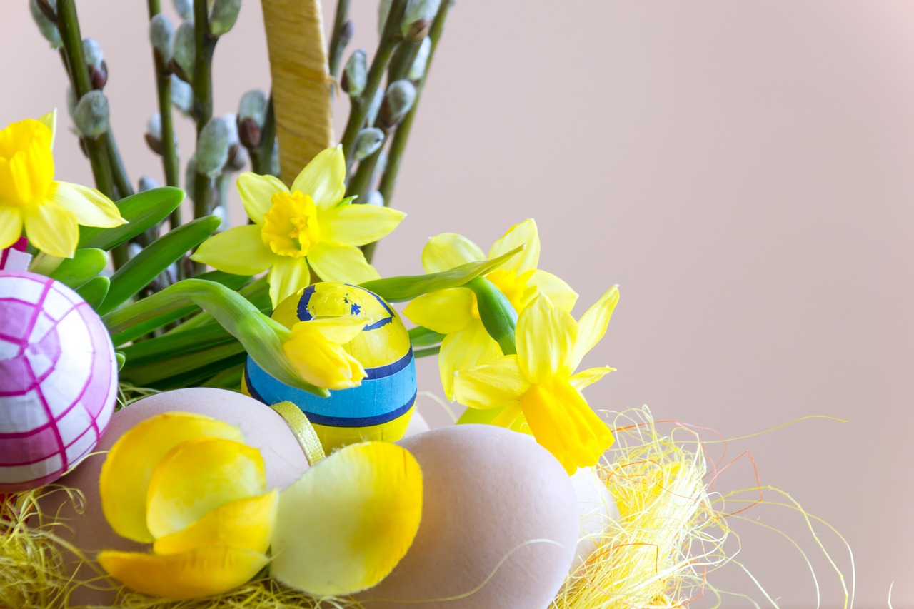 easter flower composition free photo