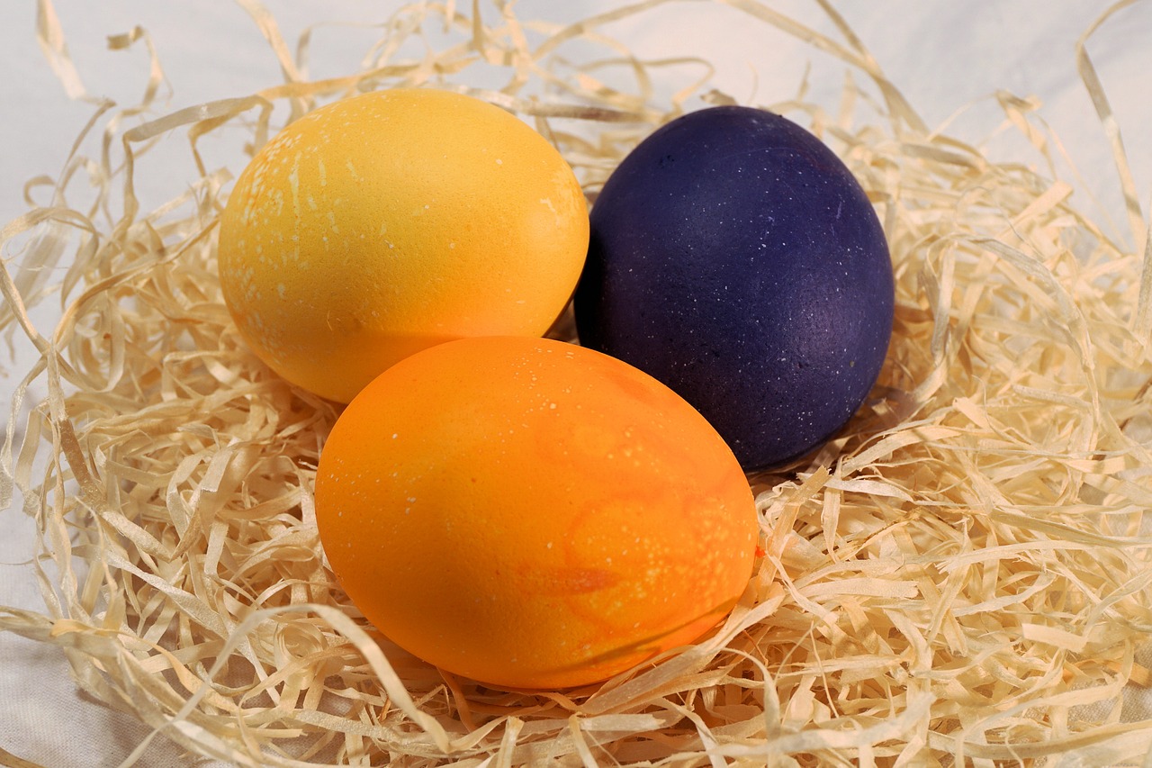 easter easter egg egg free photo