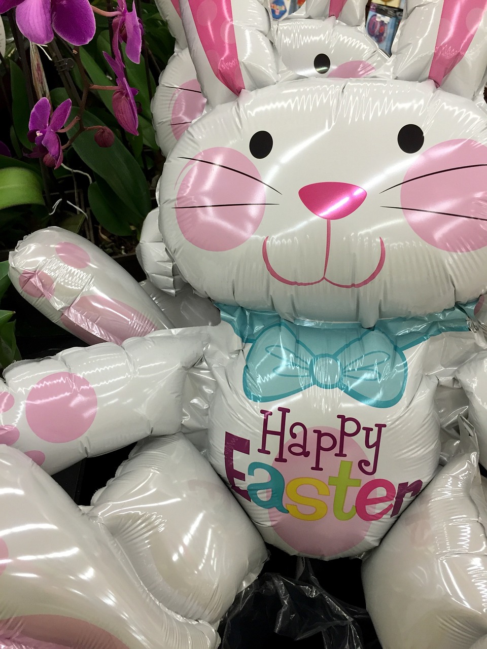 easter easter bunny rabbit free photo