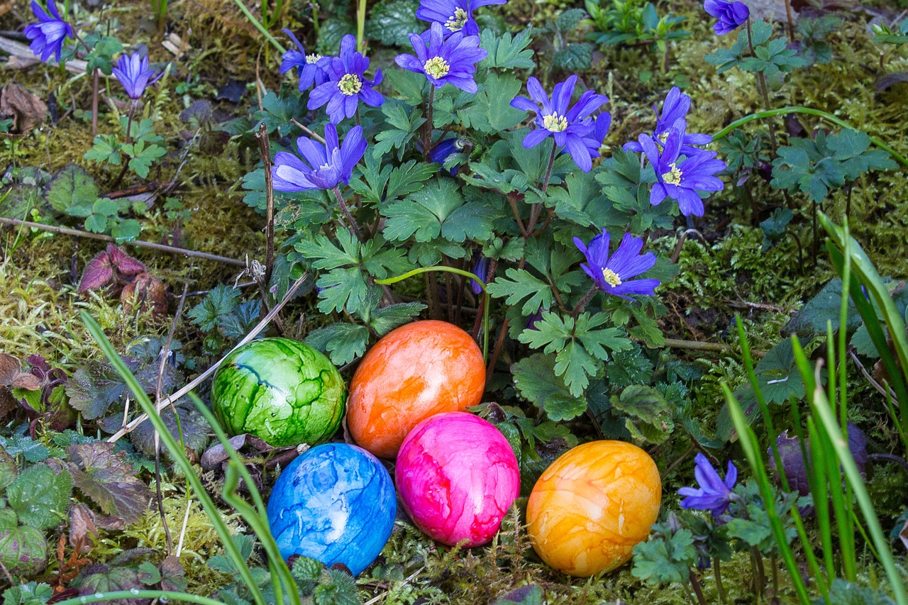 easter easter eggs egg free photo