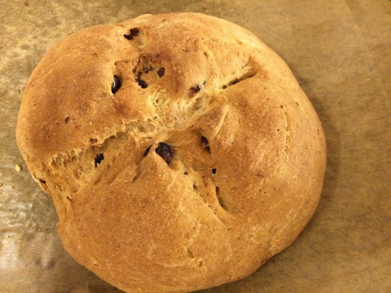 yeast bread bread raisin bread free photo