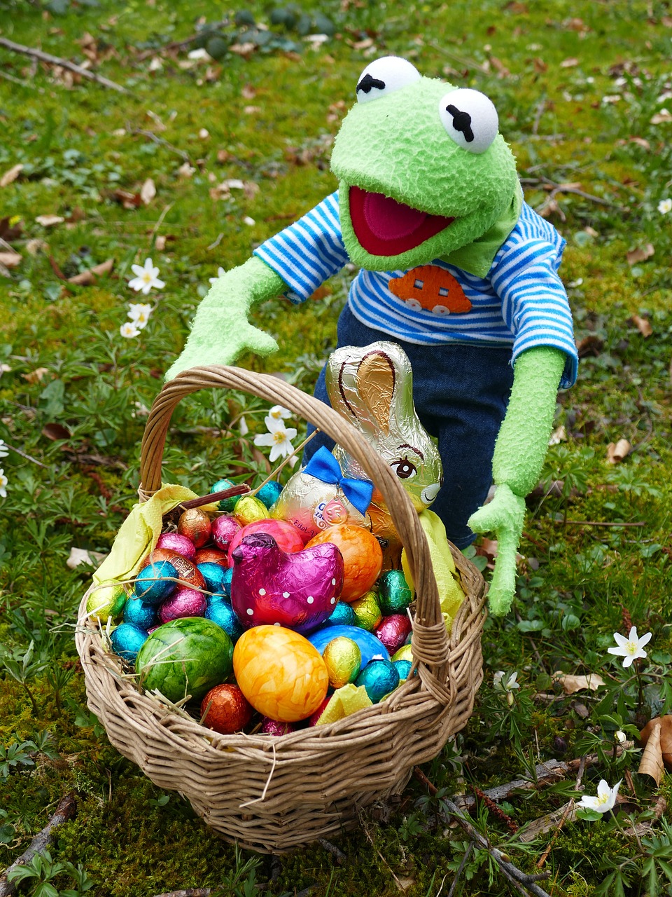 easter search easter eggs free photo