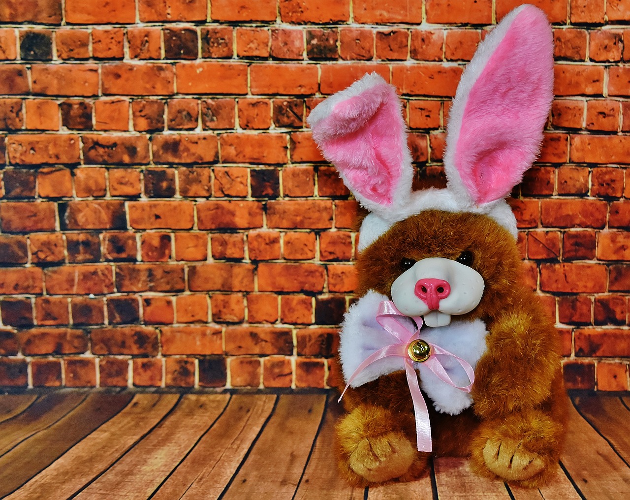 easter funny teddy free photo