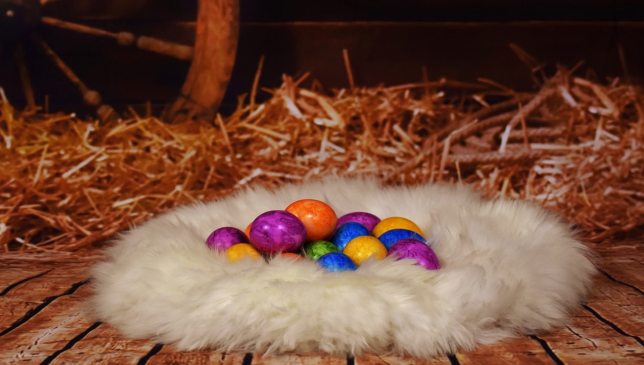 easter colorful eggs stall free photo