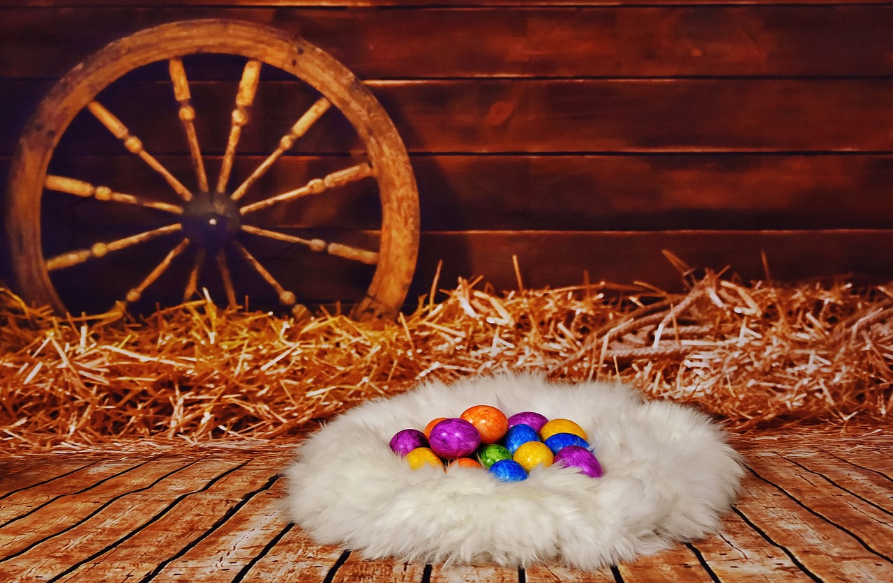 easter colorful eggs stall free photo