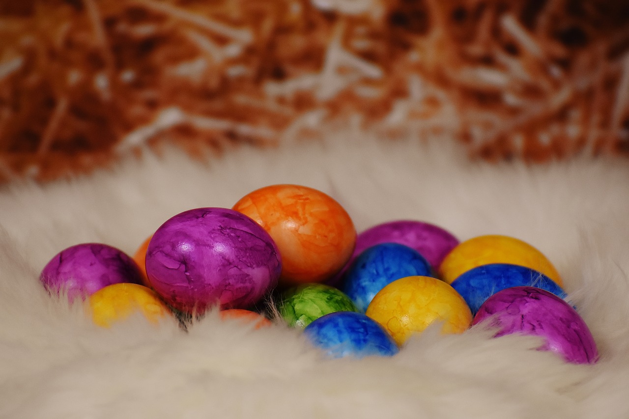 easter easter eggs lambskin free photo