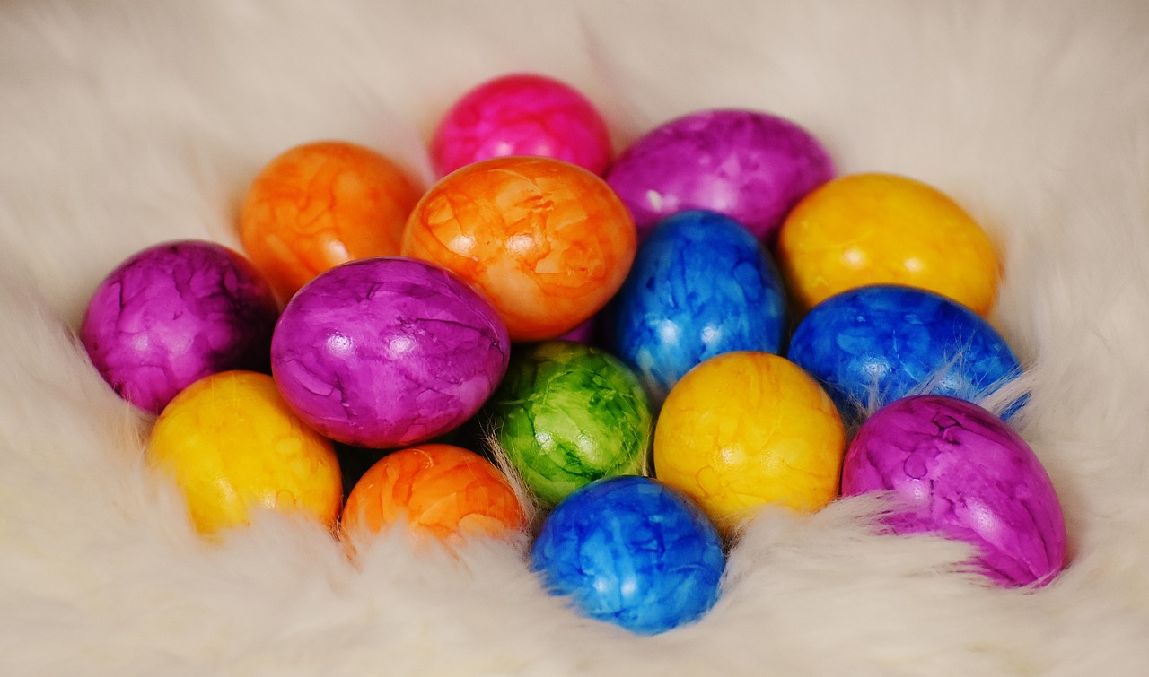 easter colorful eggs lambskin free photo