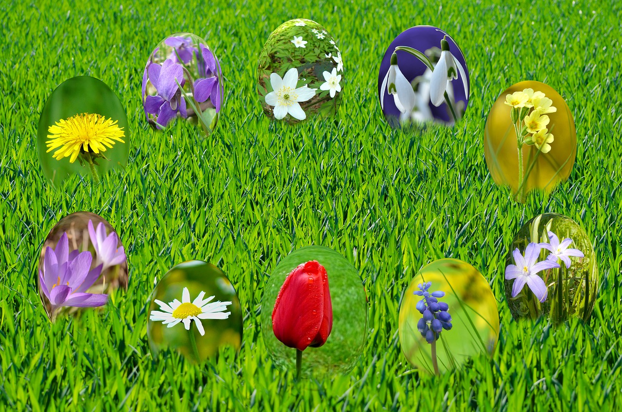 easter eggs spring free photo