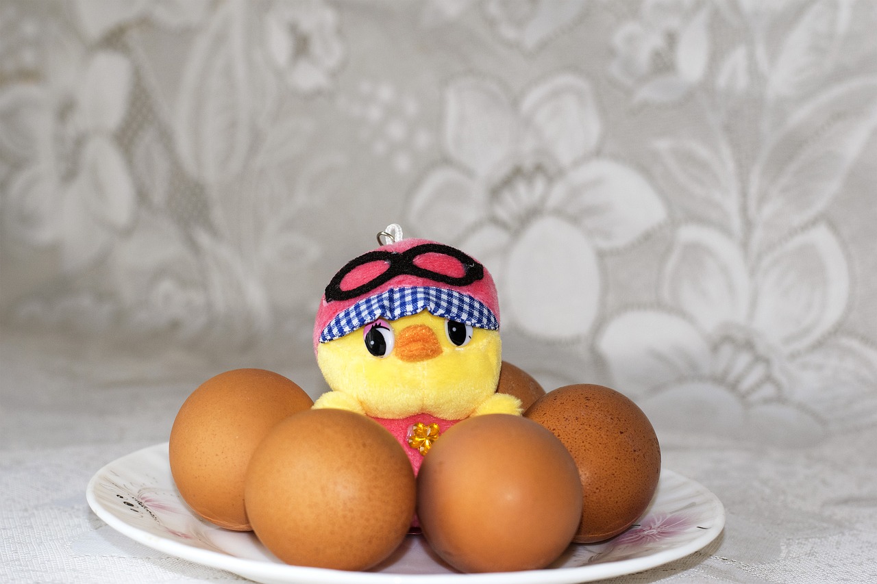 easter easter eggs chicken free photo