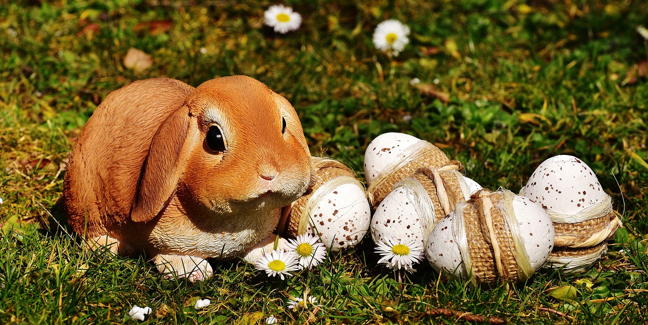 easter easter bunny spring free photo