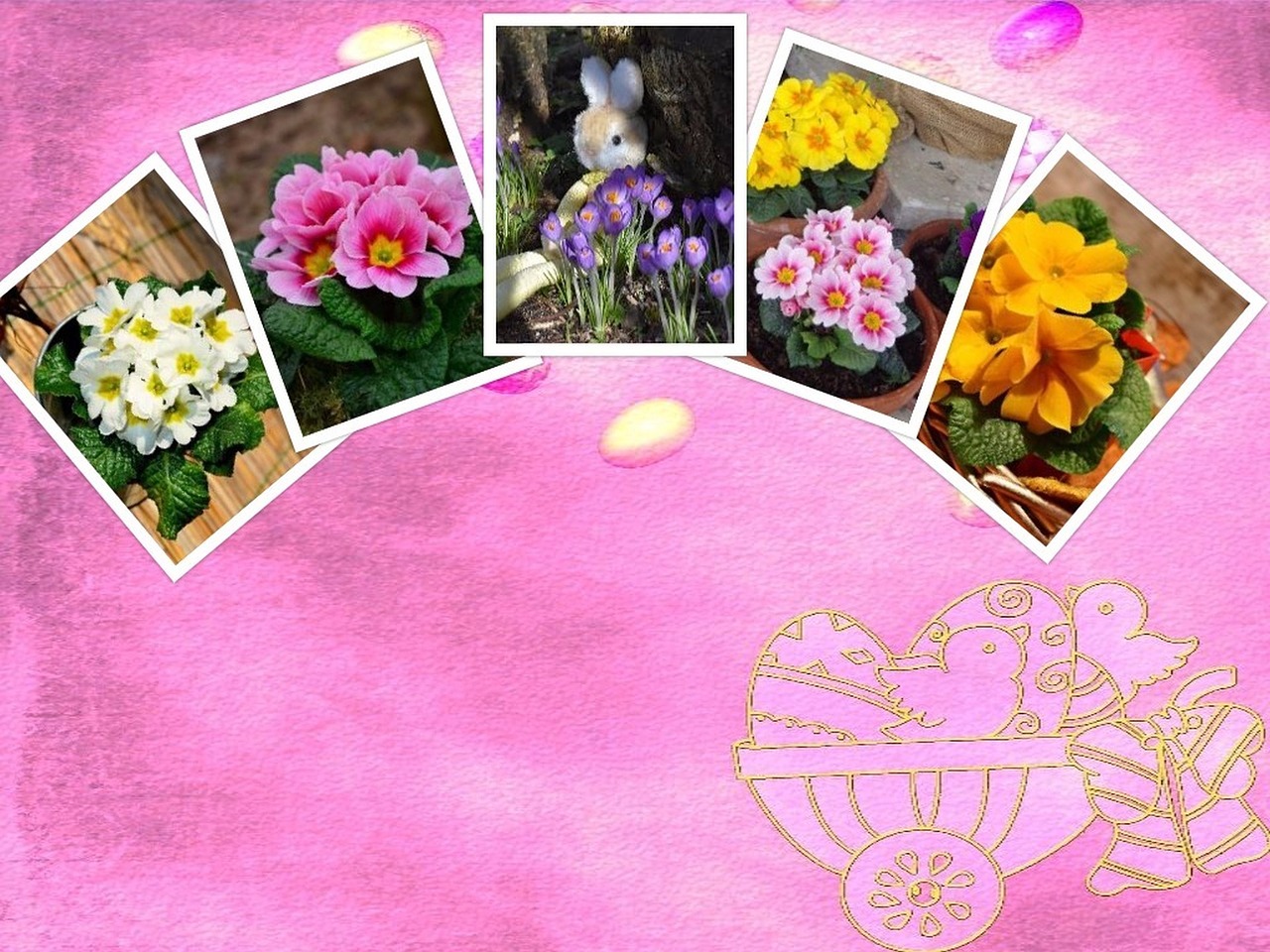 easter collage background free photo