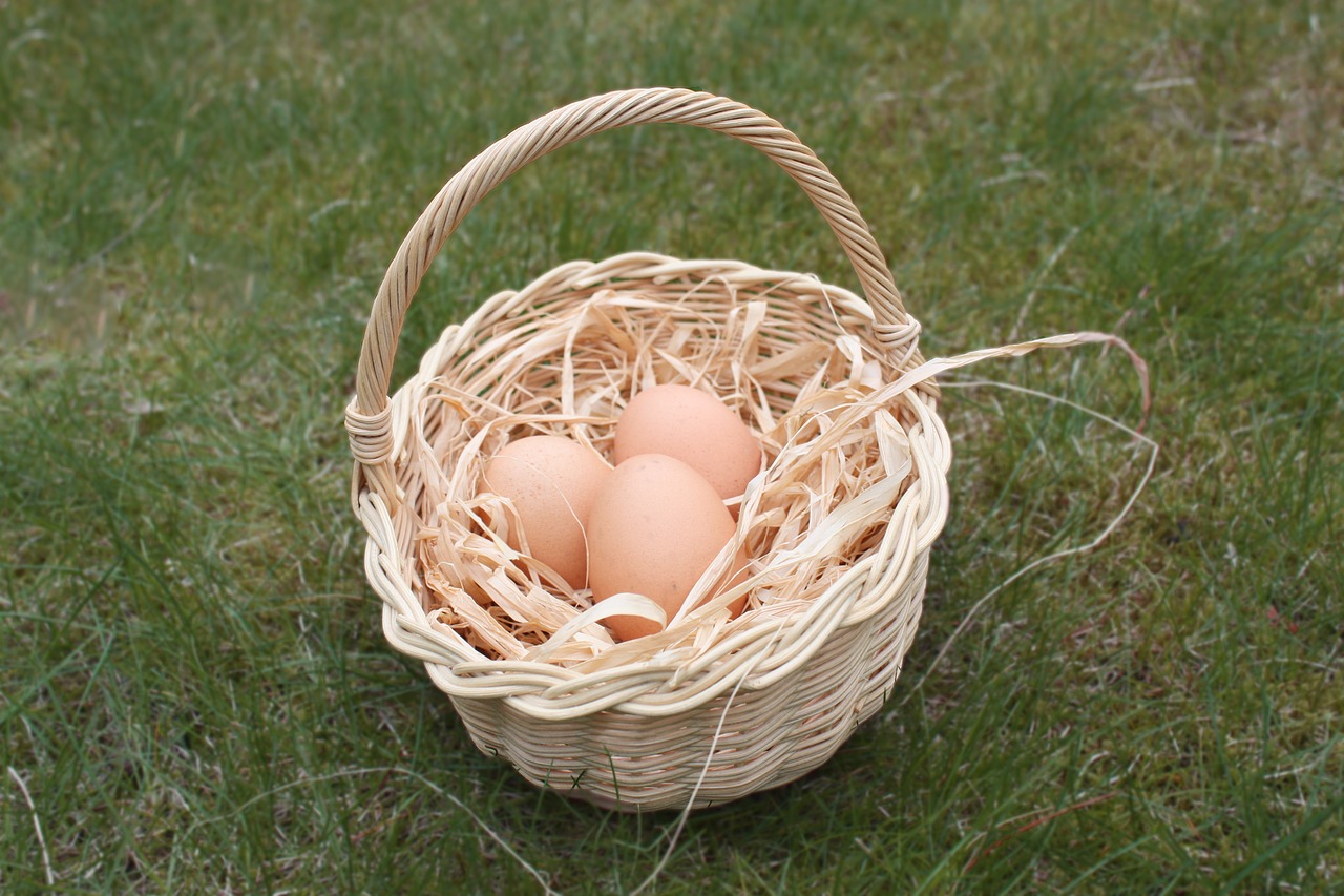 easter egg basket free photo