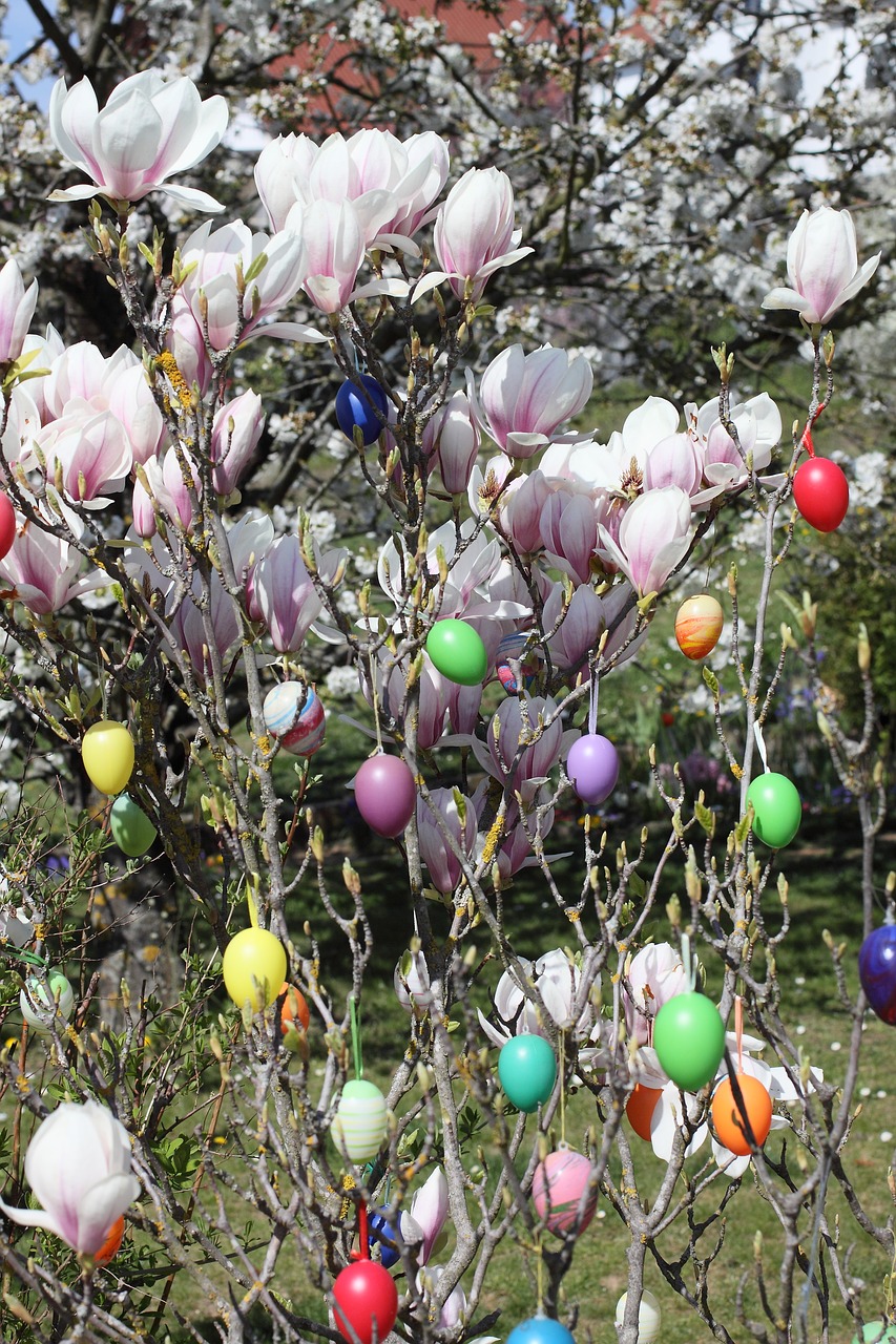 easter easter eggs magnolia free photo