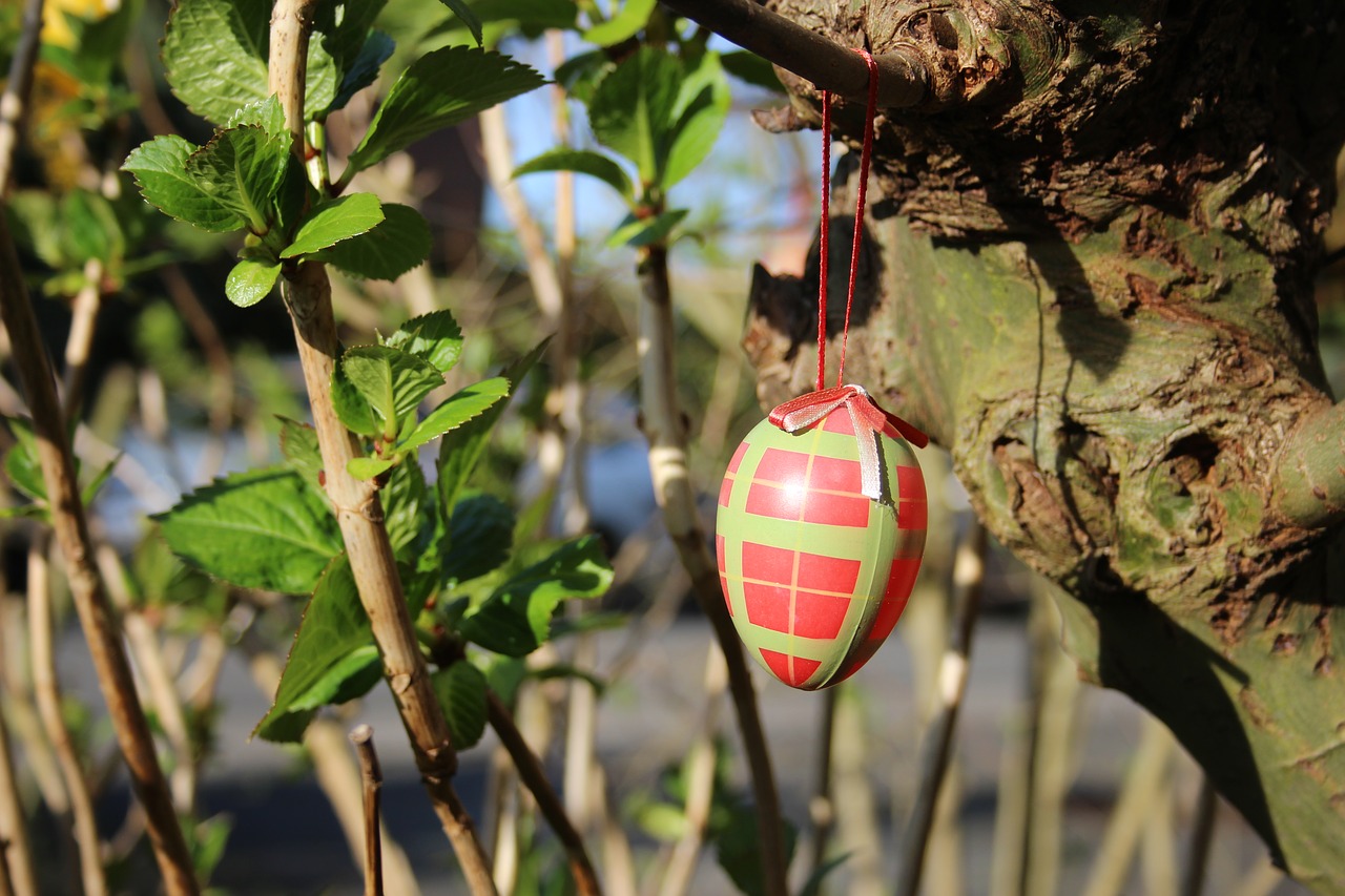 easter decoration branches free photo