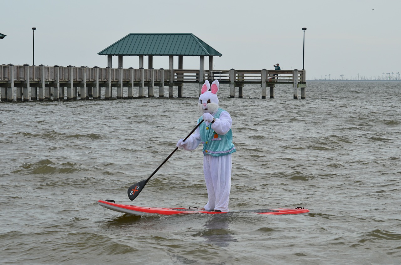 easter paddle board adventure free photo