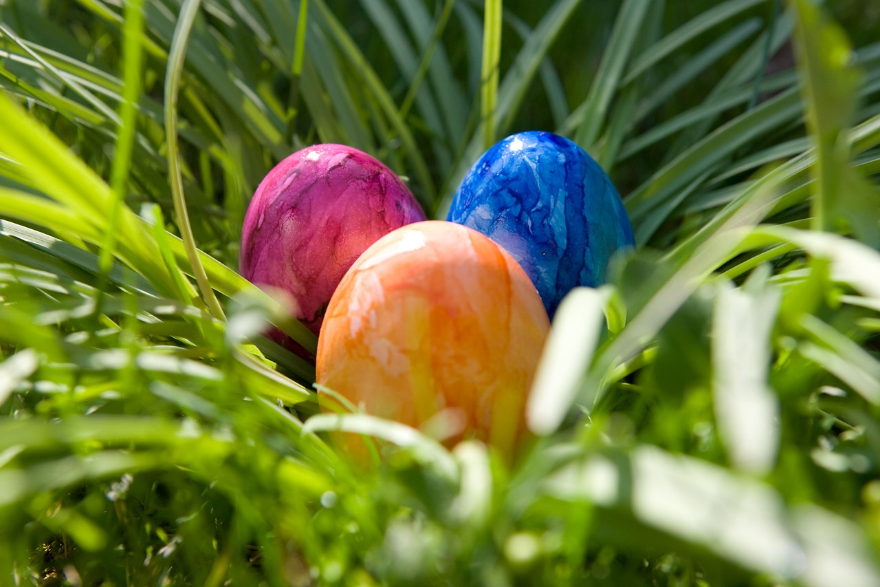 easter egg colorful eggs free photo