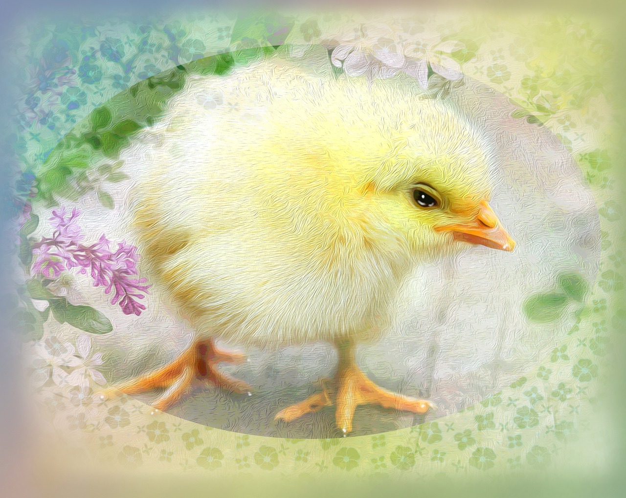 easter chick cute free photo