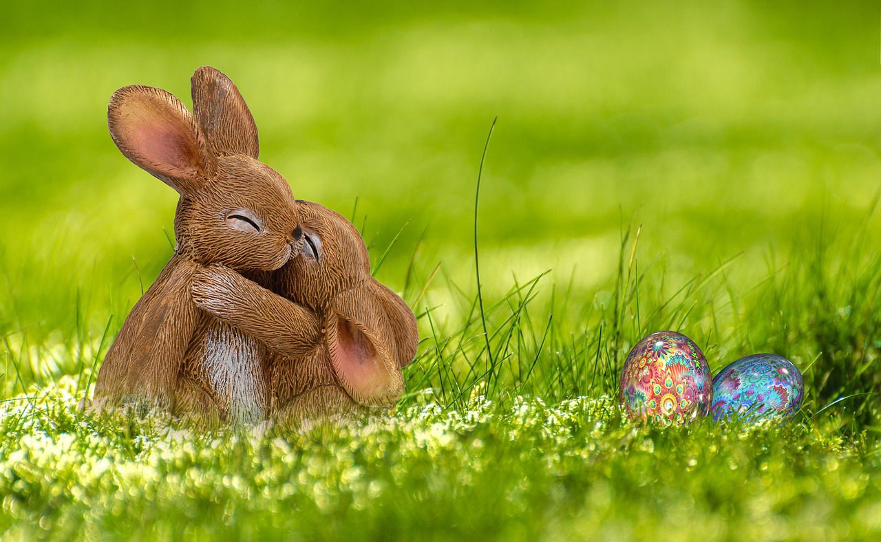 easter easter bunny hare free photo
