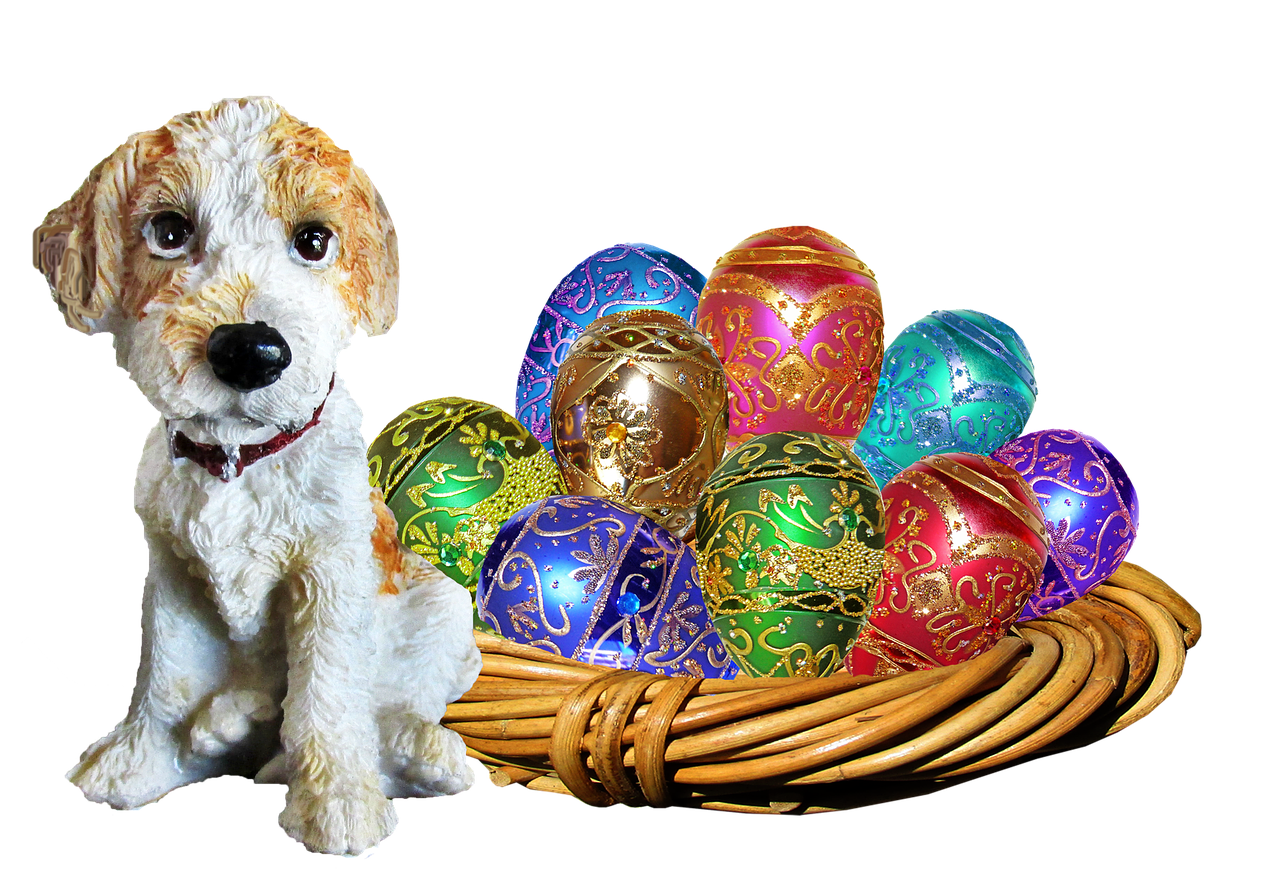 easter dog basket free photo