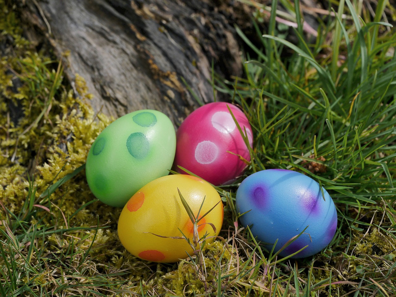 easter easter eggs egg free photo