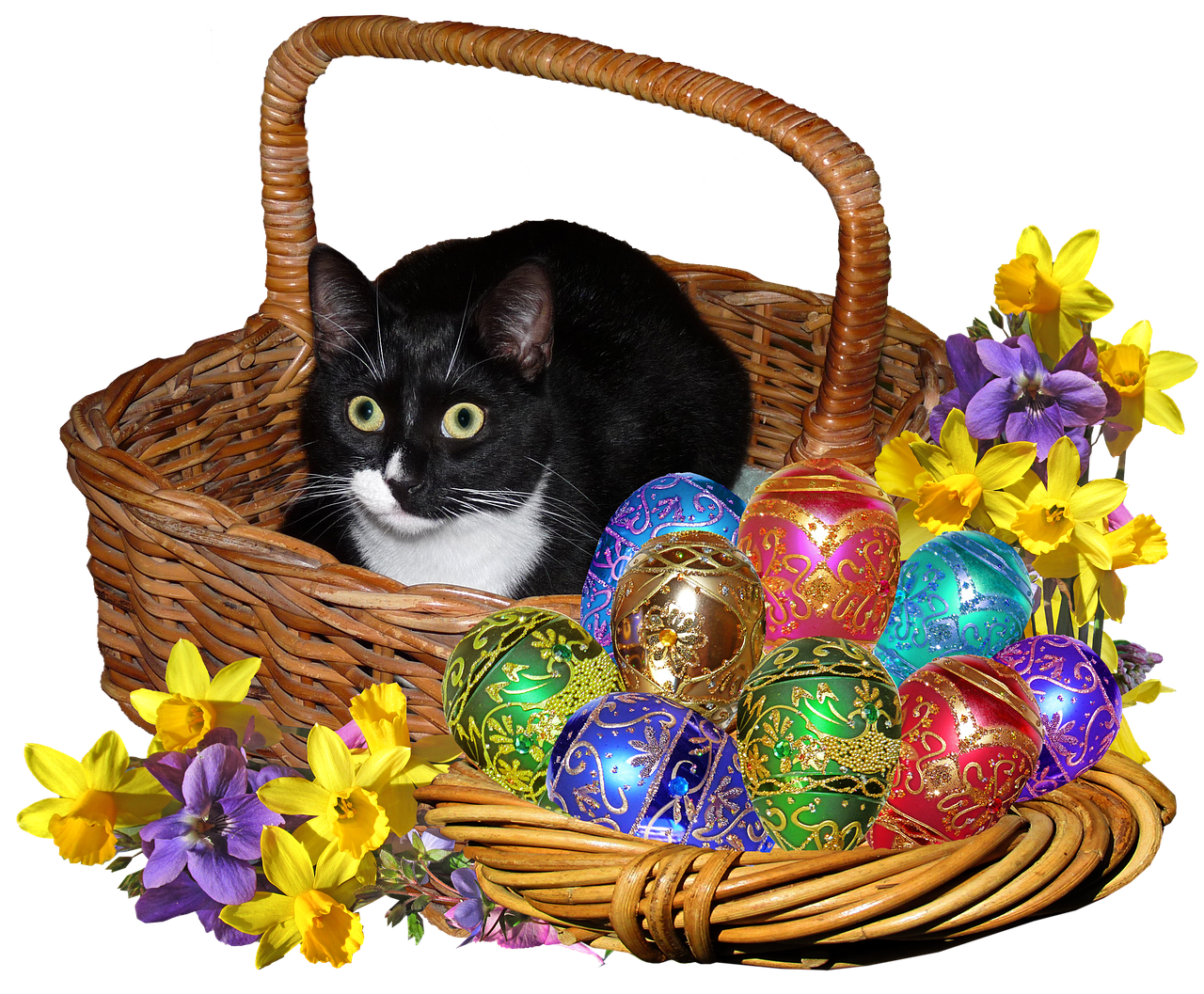 easter eggs cat in basket free photo