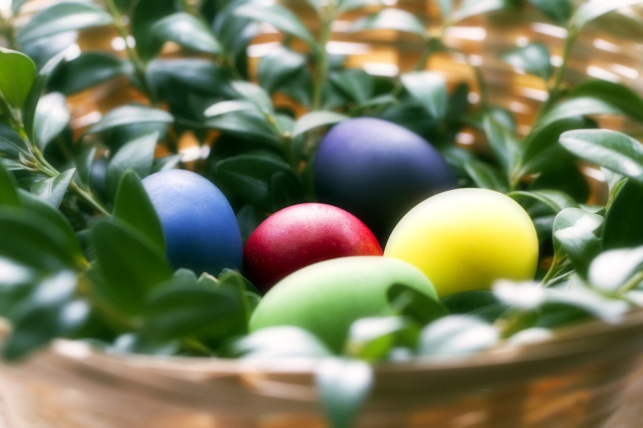 easter eggs multi colored free photo