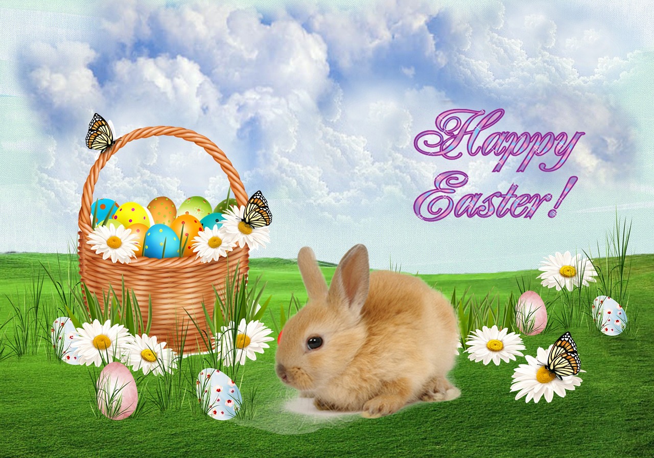 easter rabbit free pictures free photo