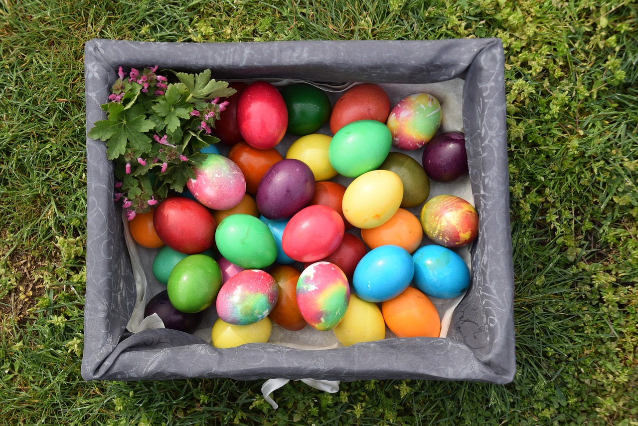 easter  eggs free pictures free photo