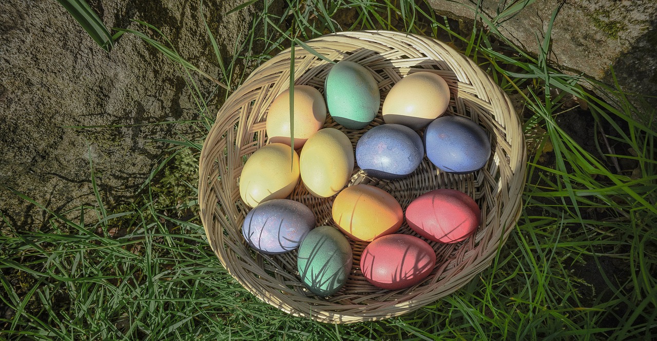 easter  eggs  colorful free photo