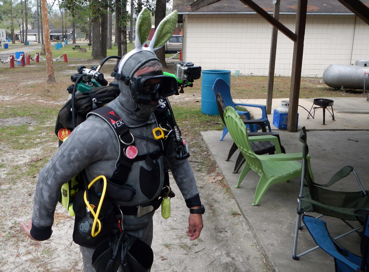 easter bunny scuba free photo