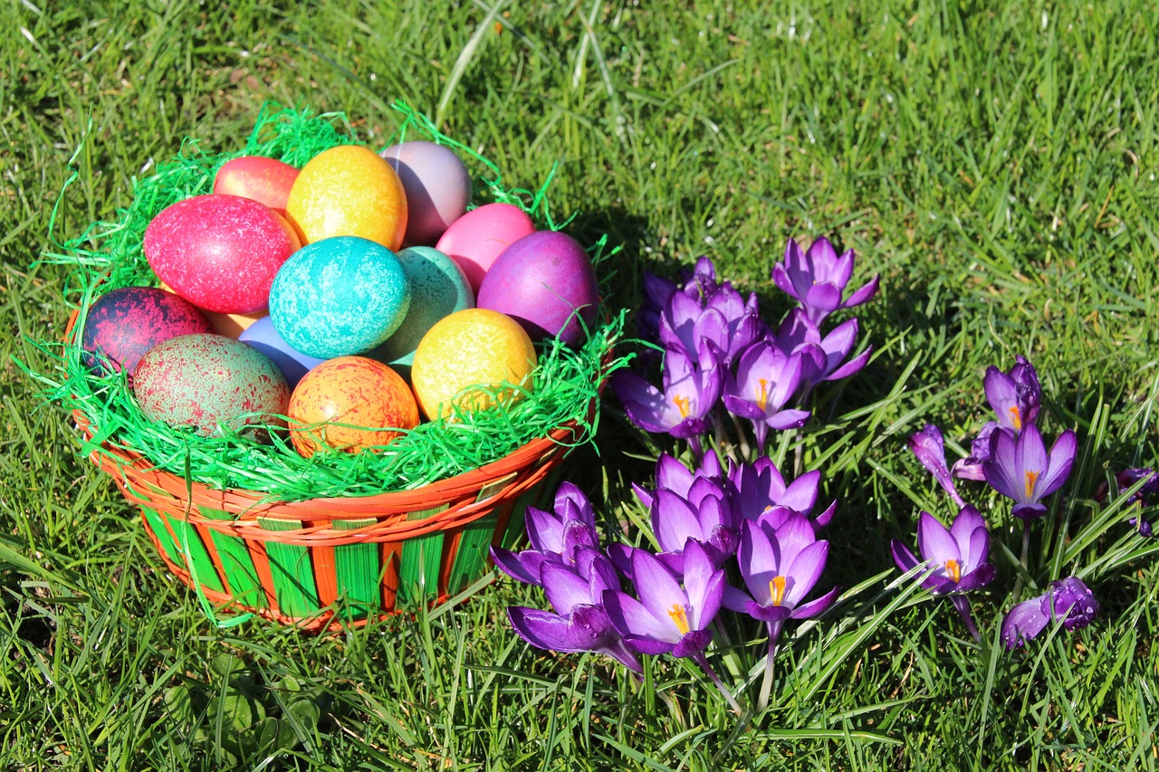 easter  spring  easter egg free photo