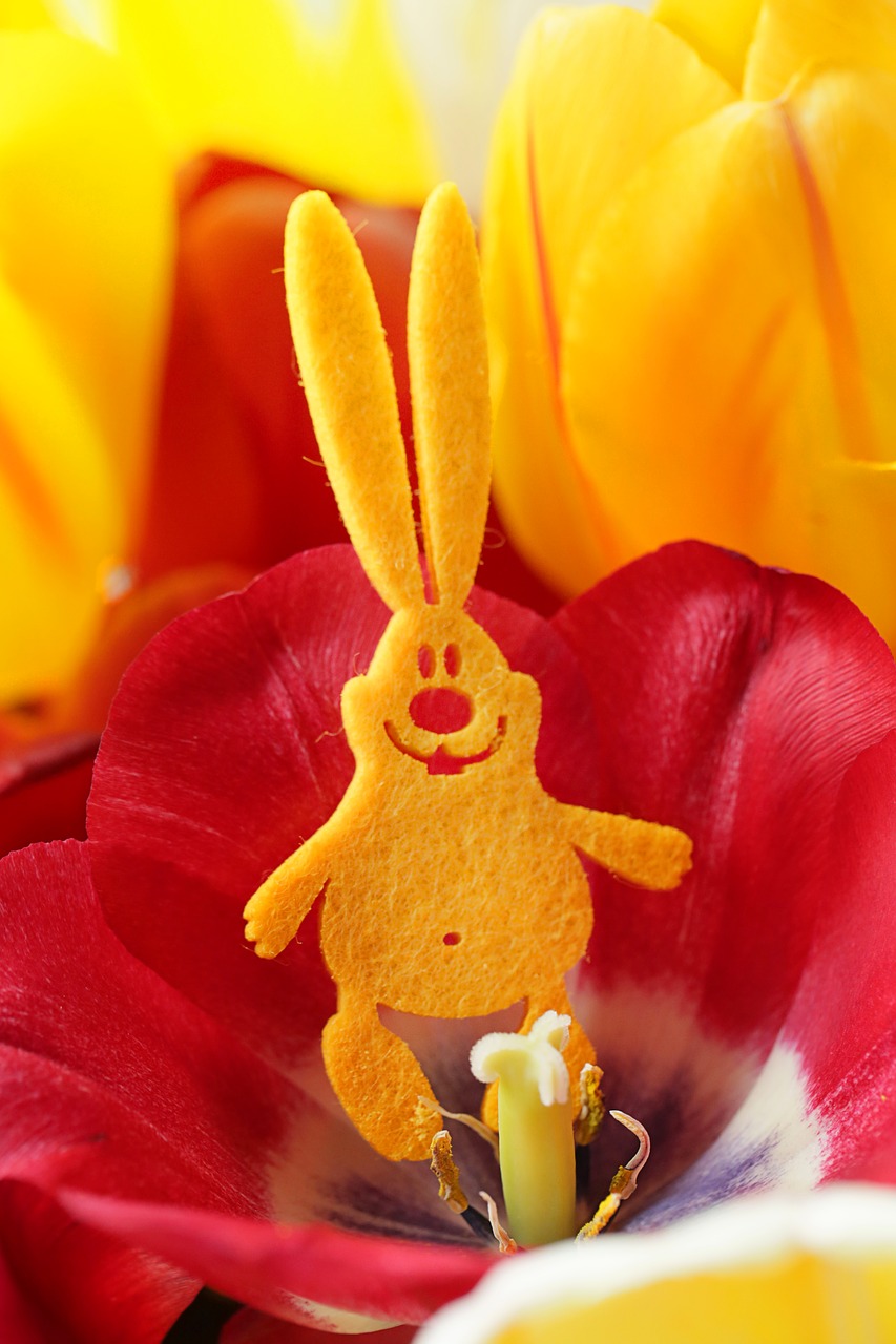 easter  rabbit  hare free photo