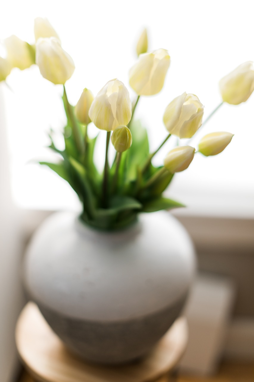 easter  plant  decor free photo