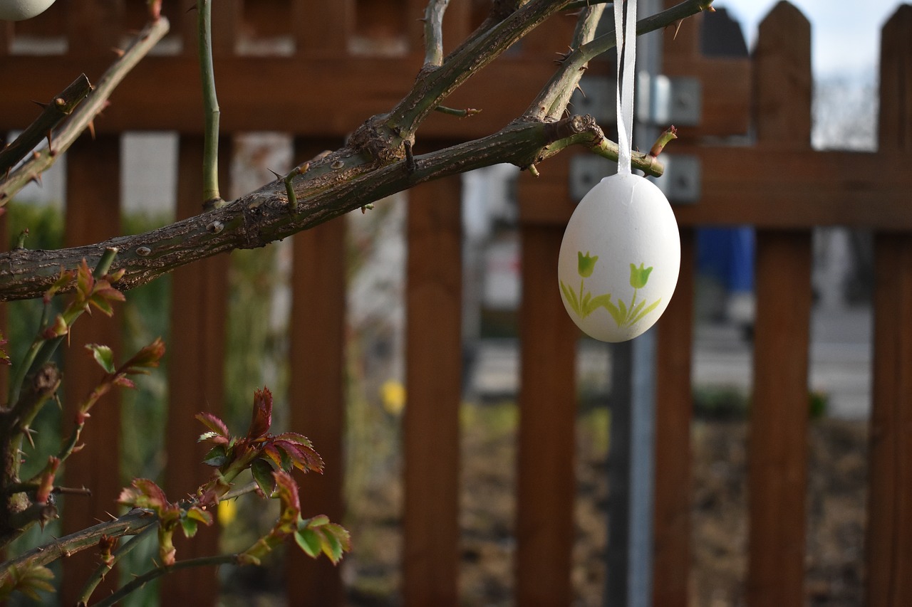 easter  garden  spring free photo